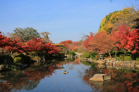 京都至吉寺的花园