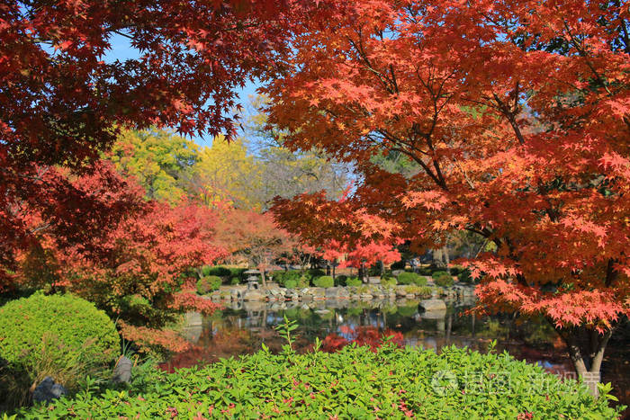京都至吉寺的花园照片 正版商用图片11vm3c 摄图新视界