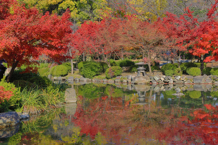 京都至吉寺的花园