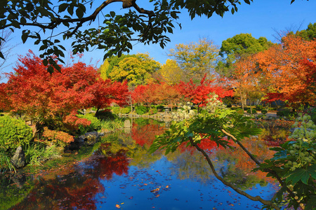 京都至吉寺的花园