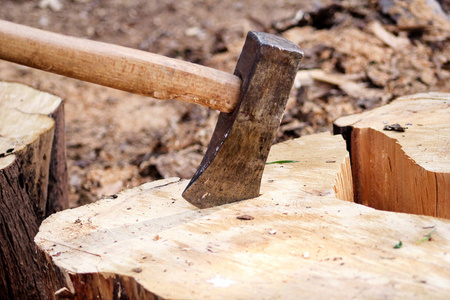 木头上的斧头, 树木。一把斧头卡在一堆木头前的圆木里, 准备切碎过冬。硬木, 木材工业。加热季节, 冬季。可再生能源
