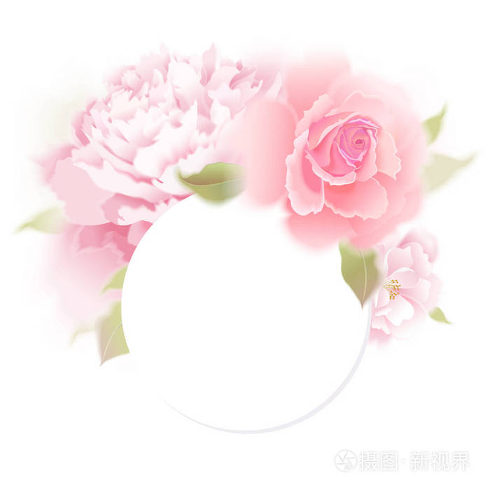 玫瑰和牡丹 波克花卡 矢量 花园花手画糊 写实花卉插图设计模板豪华包装 白色背景上的粉红色花朵和叶子 插画 正版商用图片11vok0 摄图新视界