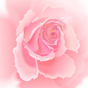 粉红色的豪华设计图片