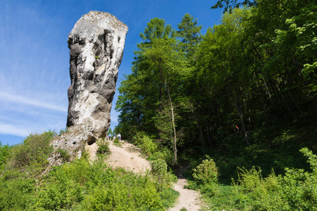 Maczuga Herkuklesa34