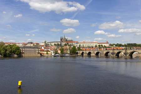 春天布拉格市，有哥特式城堡和绿色的自然和开花的树木，捷克共和国