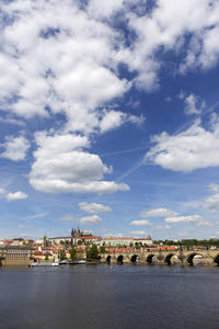 春天布拉格市，有哥特式城堡和绿色的自然和开花的树木，捷克共和国