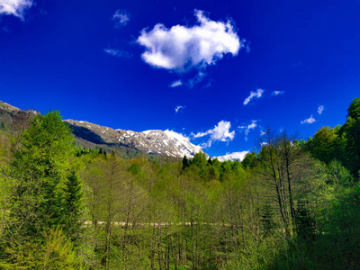 从通往拉戈纳基山脉的道路上的风景