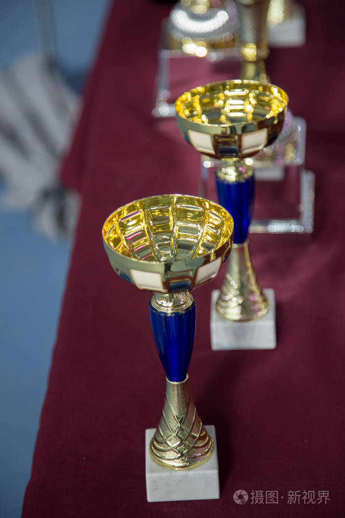 网球锦标赛冠军杯