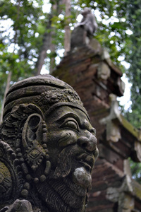 在桑吉的猴子寺庙, 巴厘岛印度尼西亚