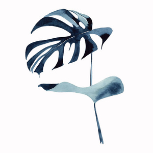 可爱的绿色深蓝热带可爱的夏威夷花卉草本夏季棕榈叶怪物水彩手绘插图。 完美的纺织壁纸卡