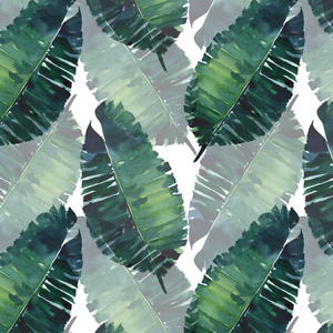 美丽的绿色热带可爱的奇妙夏威夷花卉草本夏季图案的棕榈水彩手插图。 完美的纺织壁纸卡