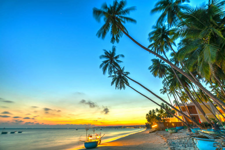 日落在海滩上倾斜的椰子树，长长的沙滩和美丽的金色天空，浪漫的周末度假胜地。