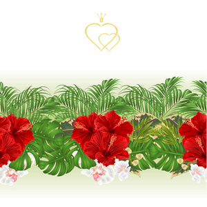 花卉边界无缝背景与盛开的芙蓉兰花和热带树叶矢量插图，用于室内设计，艺术品，菜肴，服装，包装，贺卡。