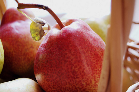 篮子里的梨。 秋天的水果