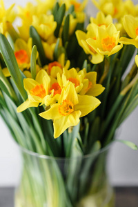 波兹在客厅里作为装饰的花瓶里放着明亮的黄色春天的水仙花。垂直照片, 墙纸