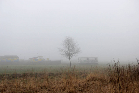 一棵孤独的小树和房子在雾中在一个空置的地段在春季清晨