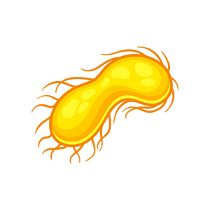 黄大肠杆菌的例证.显微镜下的生物微生物.