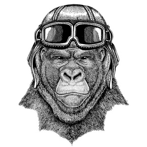 戴眼镜的动物佩戴飞行员头盔。矢量图片。大猩猩, 猴子, 猿可怕的动物手画纹身, 徽章, 徽章, 标志, 补丁的图像