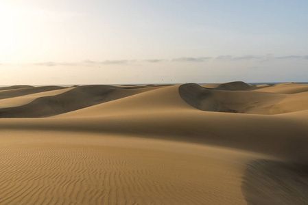 沙漠与沙丘西班牙加那利亚格兰