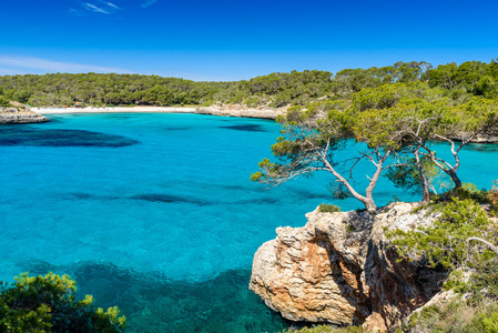 Amarador at Mondrago  Natural Park on Majorca Spain, Balearic I