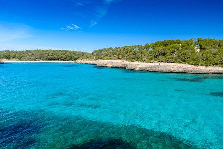 Amarador at Mondrago  Natural Park on Majorca Spain, Balearic I