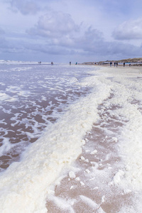 沿海滩的泡沫海藻