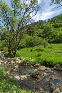 保加利亚帕扎齐克地区罗多普斯山Fotinovo村附近的Fotinovo河景观