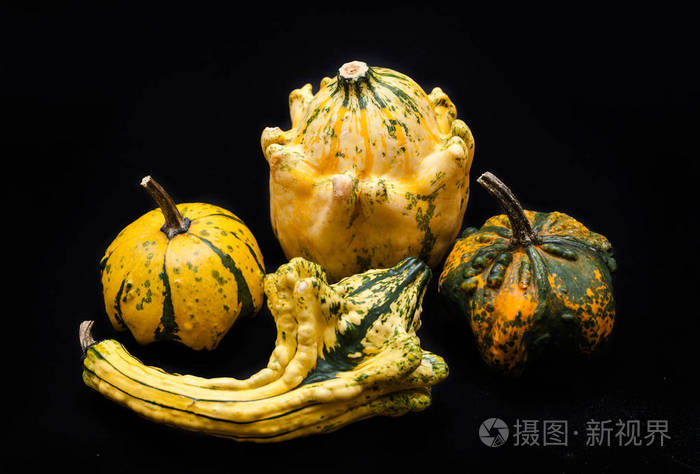 七彩南瓜和南瓜