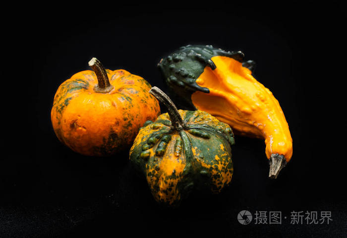 七彩南瓜和南瓜