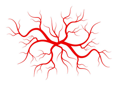 抽象概念图形元素毛细血管.血液系统照片
