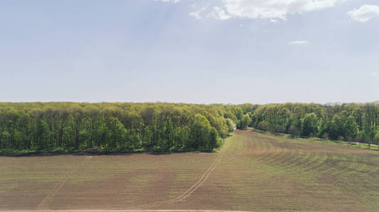 田野里树木的鸟瞰图。 空中摄影。 天空。 大自然。 景观。 旅行。 乌克兰。 春天。