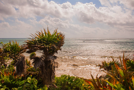 鸟瞰加勒比海在图卢姆墨西哥在一个阳光明媚的日子尤卡坦里维埃拉玛雅。