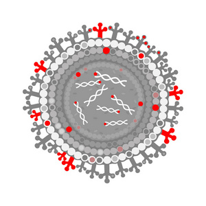 病毒，一种分离的病毒分子，中心有蛋白质包膜蛋白质丝和遗传物质。灰色白色和红色