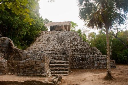 科巴的玛雅金字塔。墨西哥城的古老玛雅。墨西哥尤卡坦。