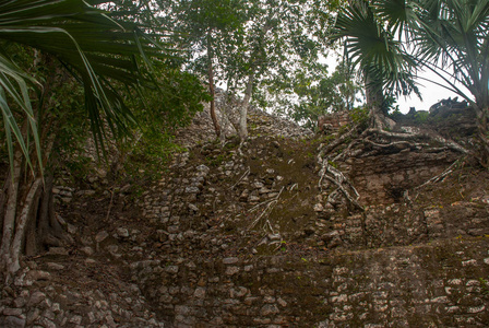 丛林里玛雅金字塔的废墟。科巴。墨西哥尤卡坦。科巴是一个考古区，也是尤卡坦半岛的著名地标..