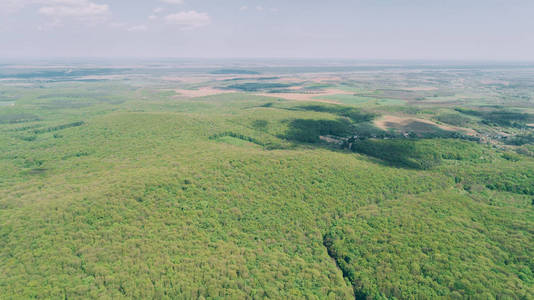 鸟瞰森林..绿化树木航拍..自然。景观。旅行。乌克兰。春天。