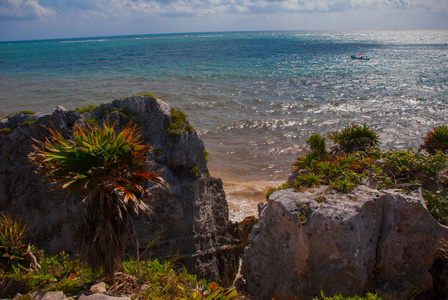 全景热带景观的加勒比海，岩石，树木和灌木。图卢姆，墨西哥，尤卡坦。