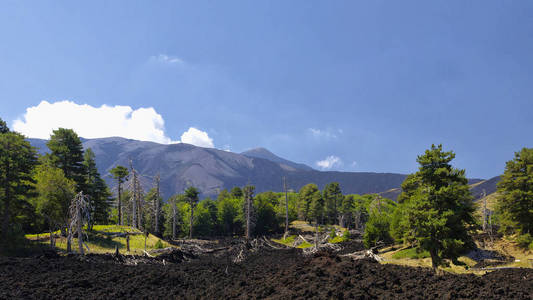 意大利西西里火山口埃特纳山景观