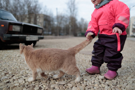 小女孩和猫在街道上