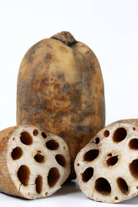 罗马番茄欧洲龙葵龙葵龙葵或 duscle,花园的越橘,小羊肚菌,难怪浆果