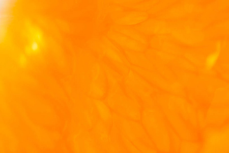 橙色水果宏镜头。 橘子非常接近