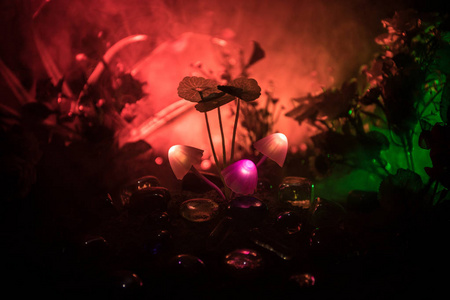 三个幻想发光蘑菇在神秘的黑暗森林特写。美丽的宏观拍摄魔法蘑菇或三个灵魂迷失在化身森林。仙女的灯光在背景上有雾。选择性重点