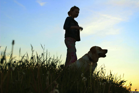 一个十几岁的女孩在日落背景上和她的宠物一起散步的剪影。 户外女孩和狗的轮廓。 一只狗和主人的模糊镜头。