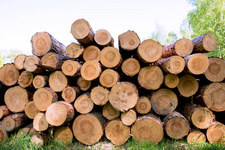 一堆木头照片