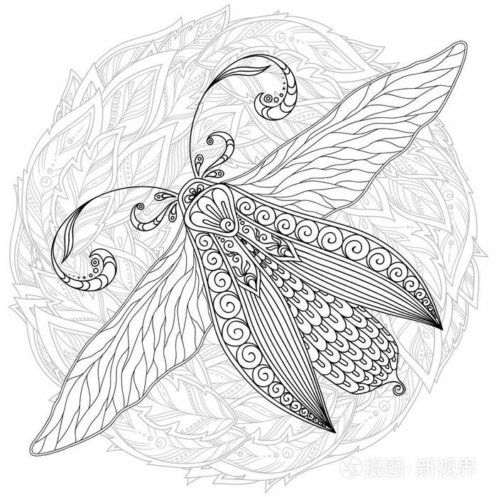 详细的观赏素描蛾手画的触角为成虫抗胁迫着色页面与高细节隔离在白色