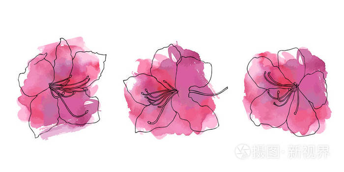 手绘了一套杜鹃花. 粉红色水彩抽象斑点上的花.