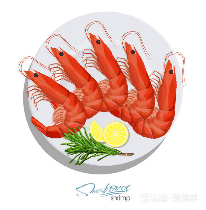 食用海洋食品插画-正版商用图片11ym3a-摄图新视