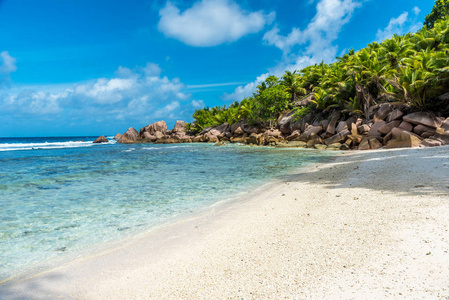 美丽的海滩塞舌尔群岛
