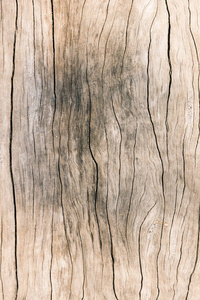 纹理老木材，脏表面木材背景，硬木