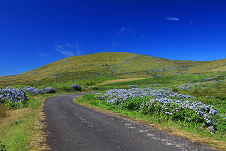 弗劳雷斯岛高山火山公路葡萄牙欧洲